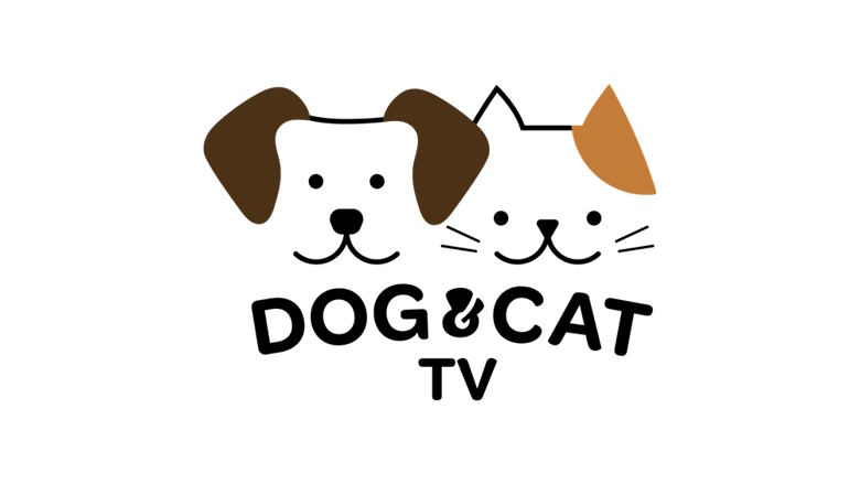 В Чехии и Словакии появится новый телеканал Dog&Cat TV для владельцев домашних животных